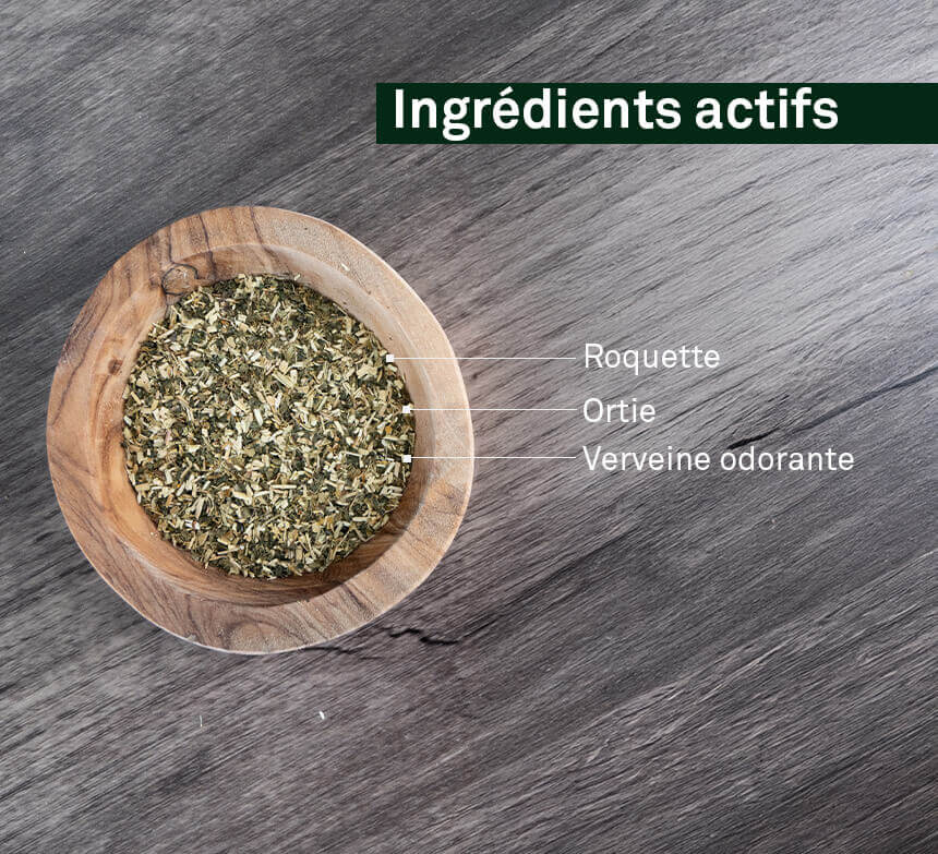 infuus